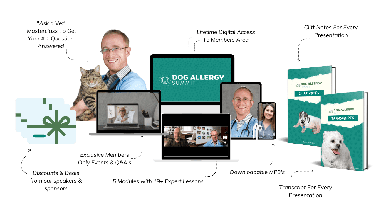 Dog Allergy - Offer Images-min
